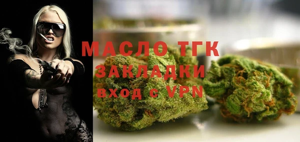 индика Волосово