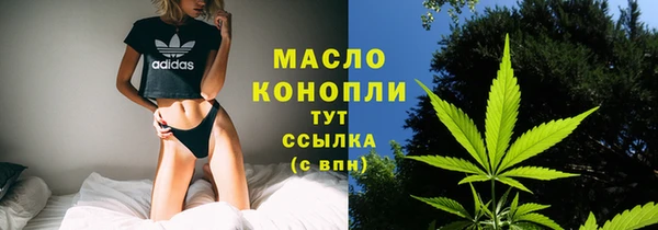 индика Волосово