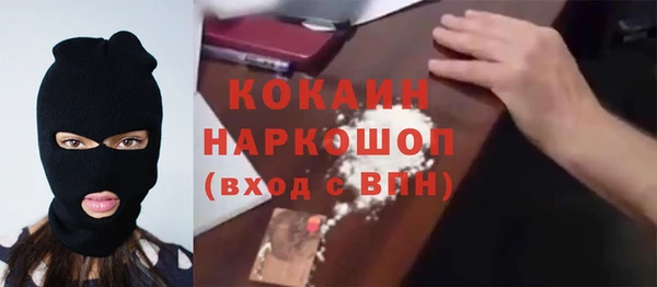 шишки Вяземский