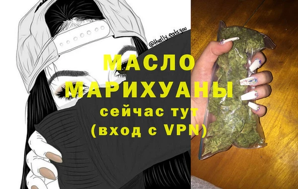 индика Волосово