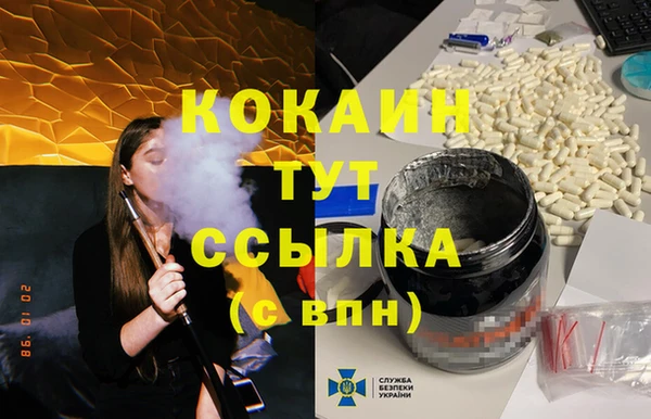 шишки Вяземский