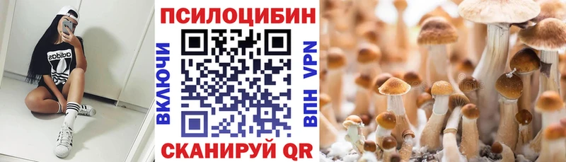 МЕГА ссылки  Ельня  Псилоцибиновые грибы Magic Shrooms 